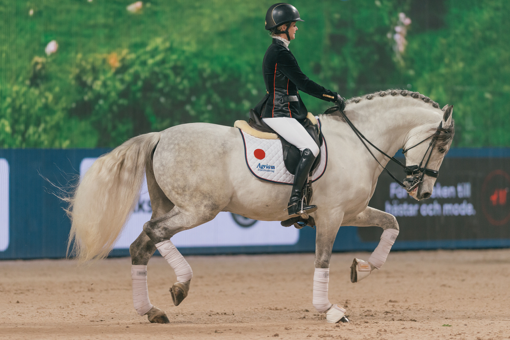 Chauffeur Hire for London International Horse Show